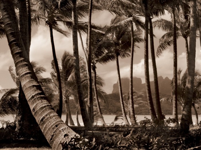 françois-nars, faery-lands-tahiti, rizzoli, photo-book, giovanni-bianco, motu-tané, tahiti, bora-bora, french-polynesia