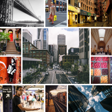 new york, photography, instagram, zelda and scout